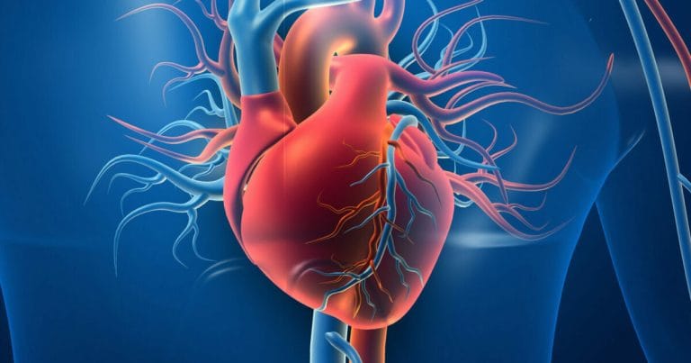 Cele mai frecvente boli cardiovasculare și cum să le previi