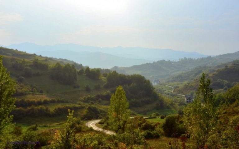 Valea Izei