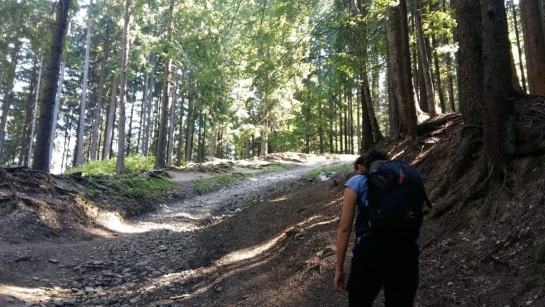 Cazare la munte 2025