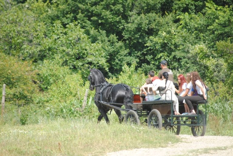 Plimbări cu căruța prin satele tradiționale