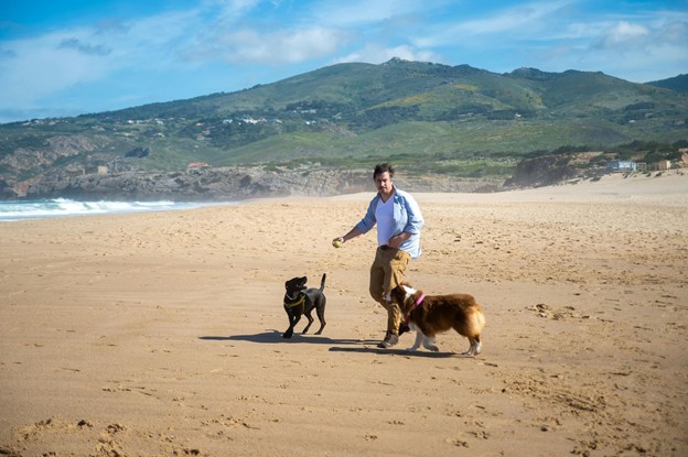 Pleci în vacanță cu animalul de companie? Iată ce trebuie să rezolvi înainte de drum Picture1